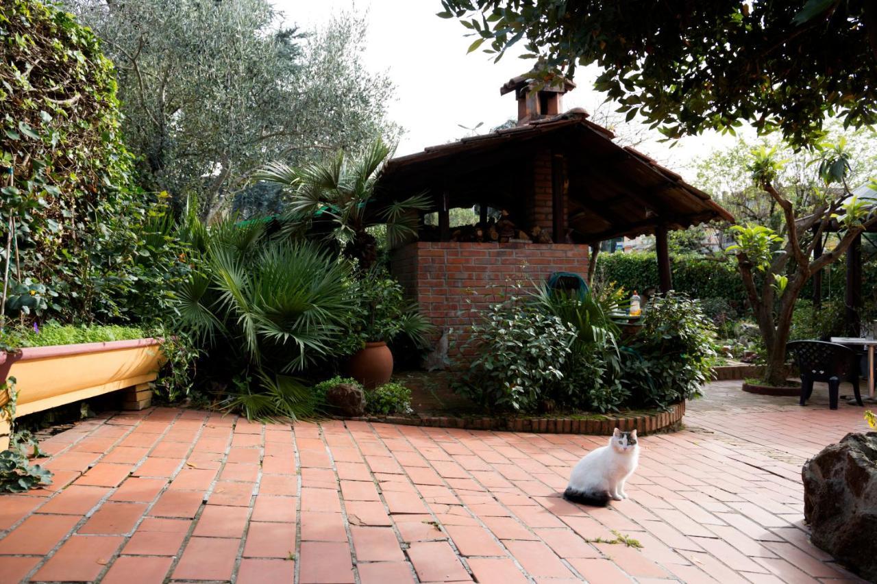 L'Acchiappasogni Bed And Breakfast Colle di Fuori Kültér fotó